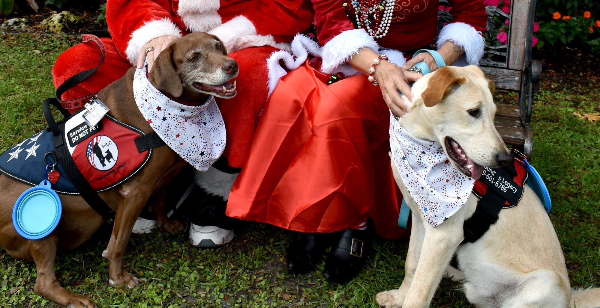 Punta Gorda History Park hosts Santa Paws in the Park